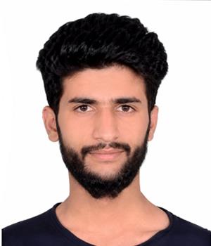 Salman Majid